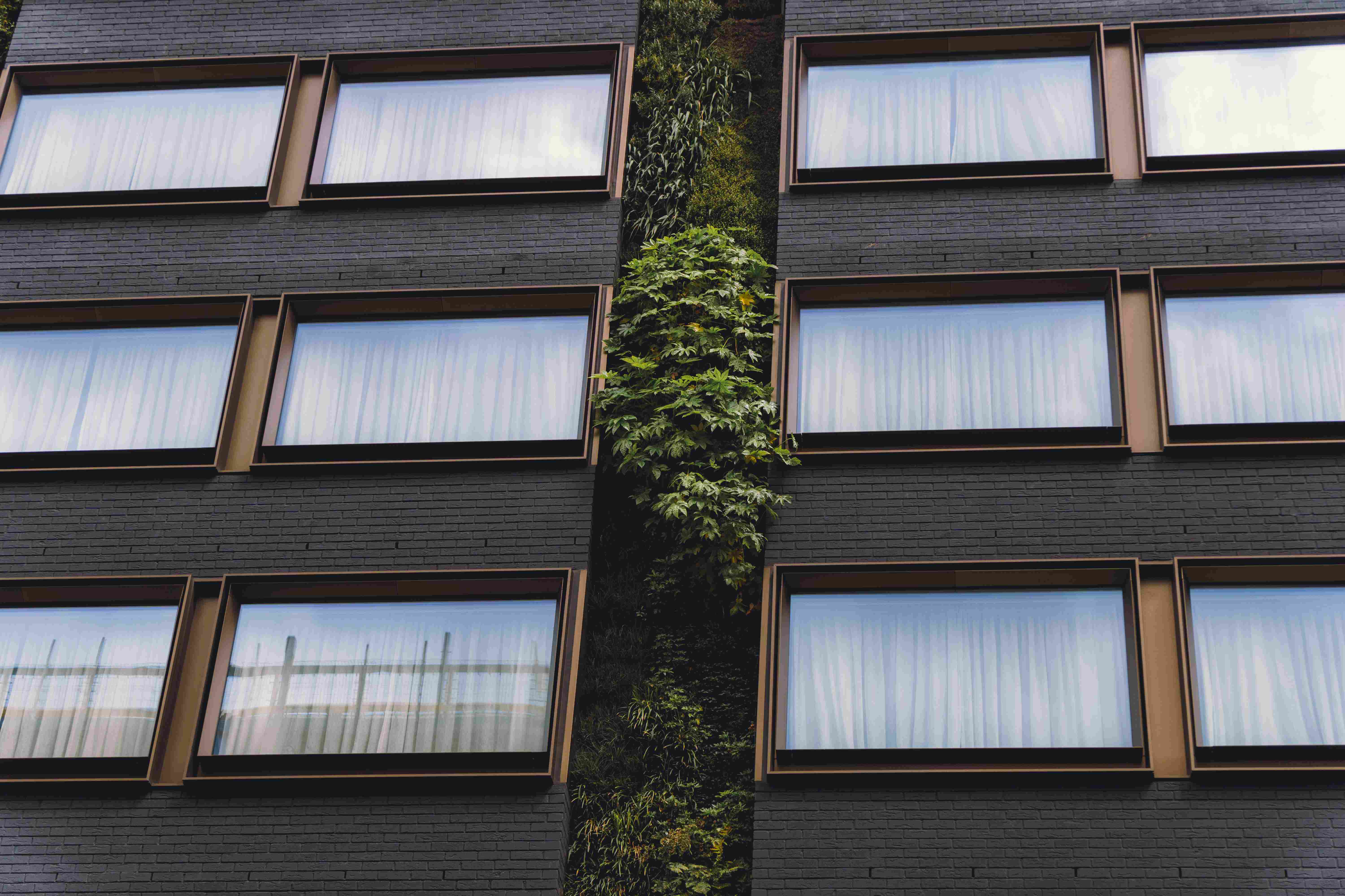 Modern Building With Foliage